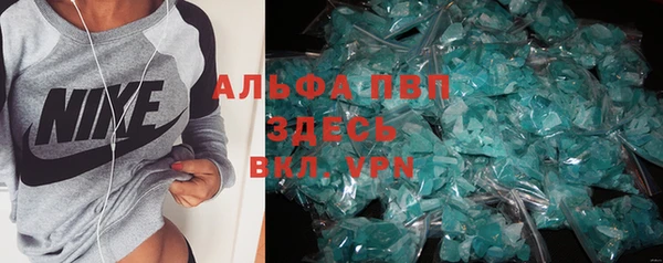 гашик Михайловск