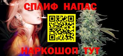 дмт Гай