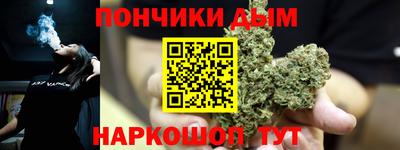 дмт Гай