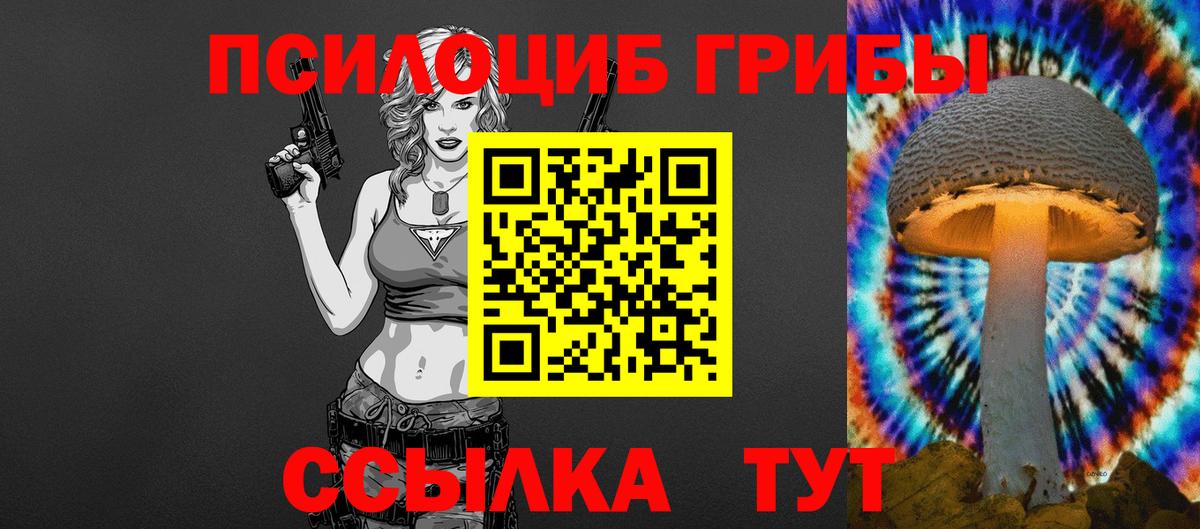 Галлюциногенные грибы мухоморы  Камень-на-Оби 