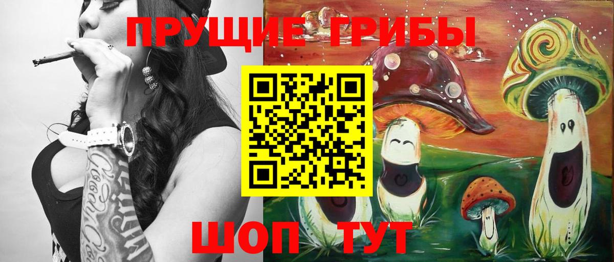 Камень-на-Оби  Галлюциногенные грибы Cubensis  Вход с VPN 