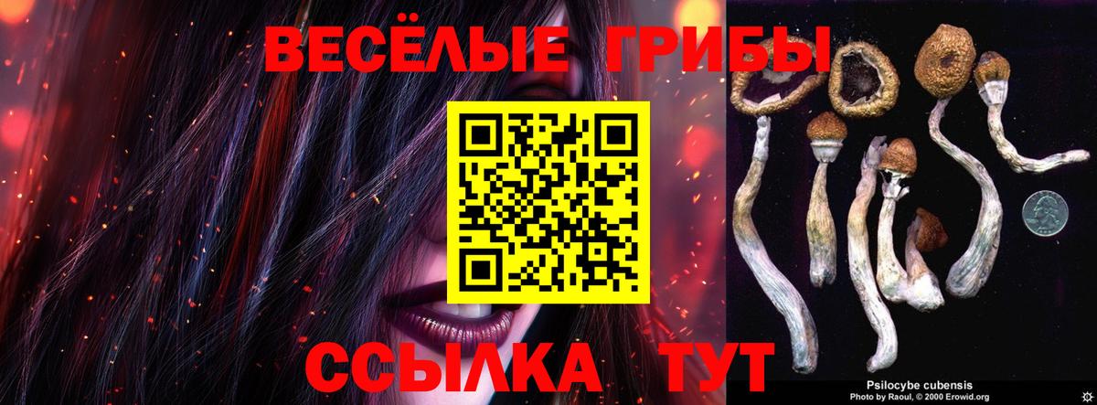Галлюциногенные грибы прущие грибы Камень-на-Оби