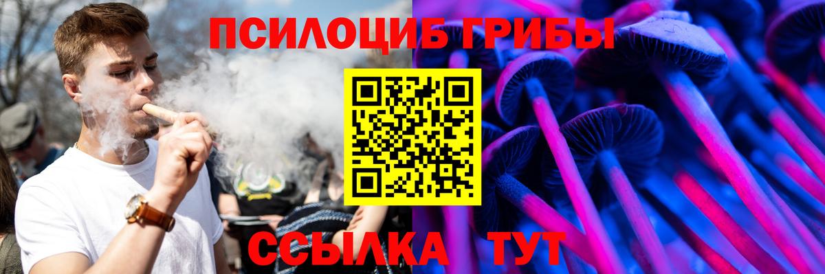 Псилоцибиновые грибы MAGIC MUSHROOMS Камень-на-Оби
