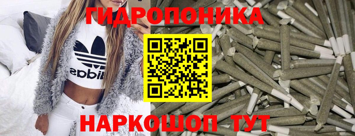 Шишки марихуана конопля Камень-на-Оби